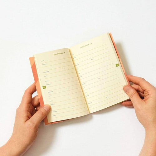 Address and Birthdays Notebook - Blue Raspberry Box